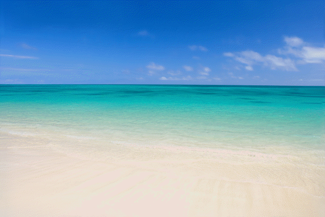 Sea Shore Hawaii